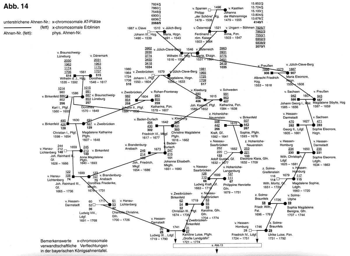 Bemerkenswerte X-chromosomale verwandtschaftliche Verflechtungen	in der bayerischen Königsahnentafel