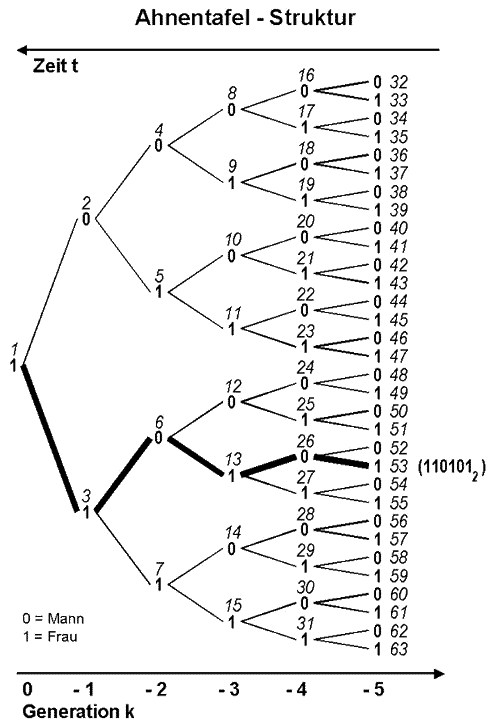 Die Struktur der Ahnentafel